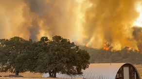 Immediate evacuation orders issued as wildfires rapidly spread across Nevada and Northern California
