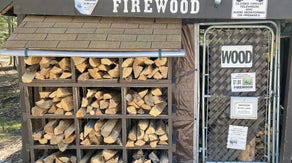 Why buying local firewood can limit the spread of invasive species