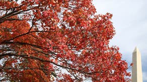 Traveling for fall foliage? Here's where you should go and when