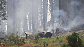 Smokejumpers arrive at Garnet Fire to protect ancient sequoia trees in Sierra National Forest