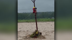 Man rescued after spending hours clinging to utility pole during India's deadly flooding