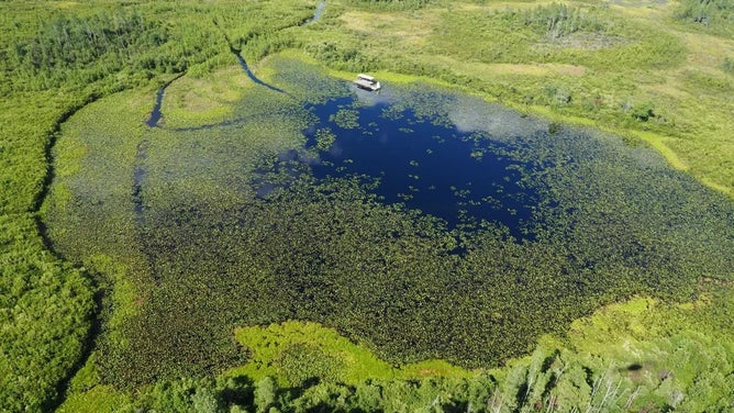 An aerial view of a water trail at the Okefenokee National Wildlife Refuge.