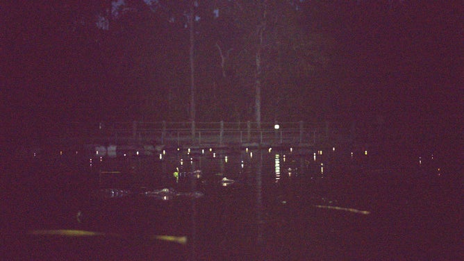 Glowing eyes of alligators along the water's surface in the Okefenokee National Wildlife Refuge.