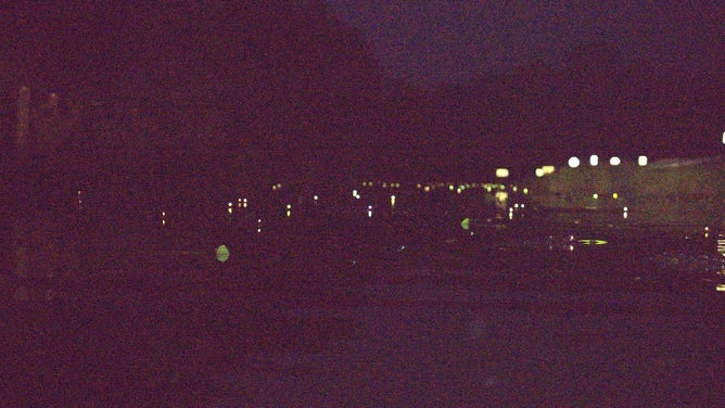 Glowing eyes of alligators along the water's surface in the Okefenokee National Wildlife Refuge.