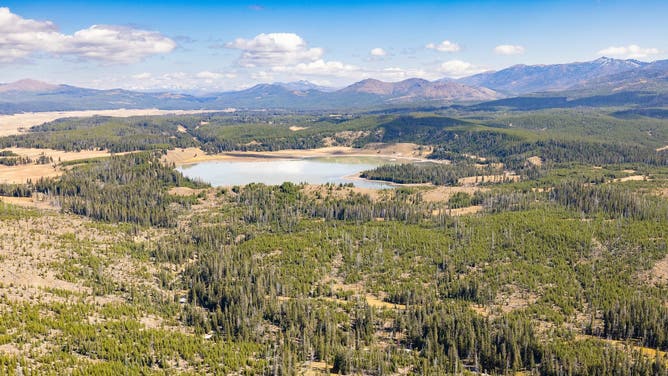 Aerial view of Turbid Lake.