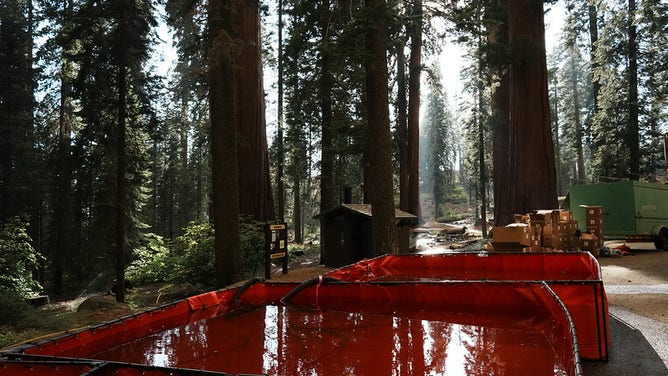 McKinley Grove protection on Sept. 6, 2025 in the Sierra National Forest.