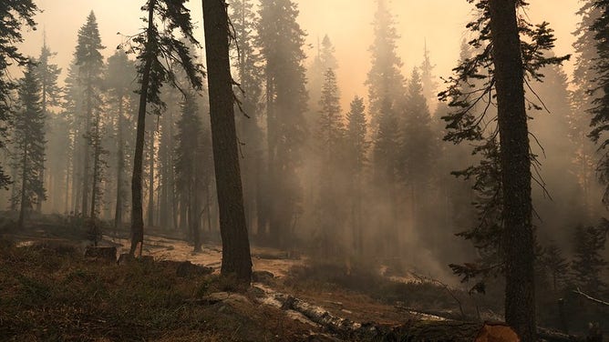 Scenes from McKinley Grove Road and the Garnet Fire on Sept. 6, 2025.