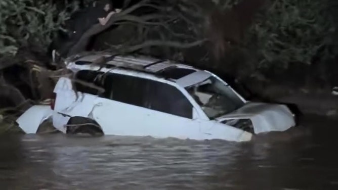 Arizona rescue