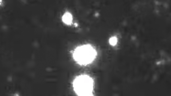 Comet 3I/ATLAS as seen by the Rubin Observatory this summer.