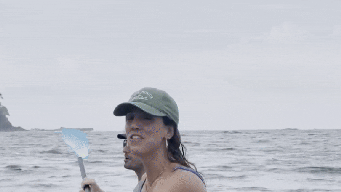 Costa Rica Whale Breach