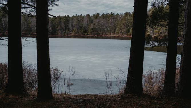 Round Lake at Pigeon River Country State Forest in Vanderbilt, Michigan, U.S., on Wednesday, April 20, 2022. A flurry of state and local governments in the U.S. are enrolling public-owned forests in carbon projects that could earn them tens of millions of dollars but provide little new help in the fight against climate change.