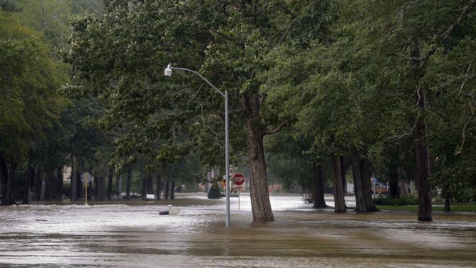 2019 Tropical Storm Imelda photo