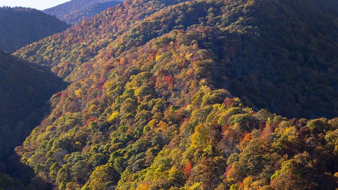 Cherry Cove outlook on the Blue Ridge Parkway located in the Blue Ridge Mountains near Asheville, North Carolina on Wednesday, October 25, 2023.