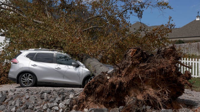 FILE: A tree crushed a vehicle as Hurricane Helene passed through the area on October 05, 2024 in South Carolina.