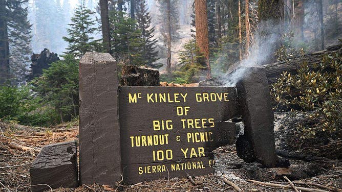 The Garnet fire burns in the Sierra National Forest southeast of Shaver Lake along McKinley Grove Road, which had threatened the McKinley grove of giant sequoias, seen Tuesday, Sept. 9, 2025.
