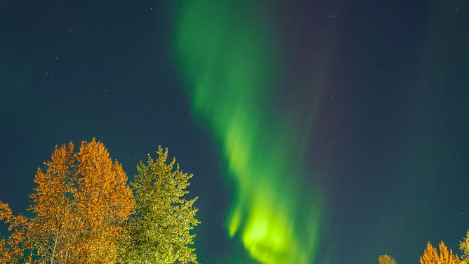Kp5 and above intensity northern lights (aurora borealis) appear in the sky over autumn trees as it lit up the sky in shades of green in Anchorage, Alaska, United States on September 29, 2025. This natural phenomenon was observed by locals, photographers and tourists.