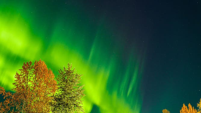 Kp5 and above intensity northern lights (aurora borealis) appear in the sky over autumn trees as it lit up the sky in shades of green in Anchorage, Alaska, United States on September 29, 2025. This natural phenomenon was observed by locals, photographers and tourists.