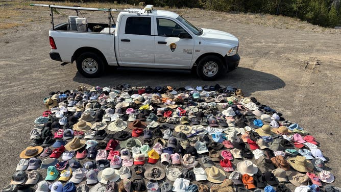 Hats Plucked From Yellowstone