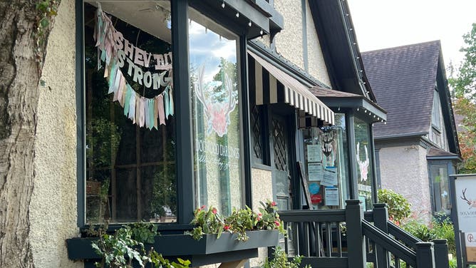 Dogwood Darlings' shop window in Biltmore VIllage showcases a colorful "Asheville Strong" banner,