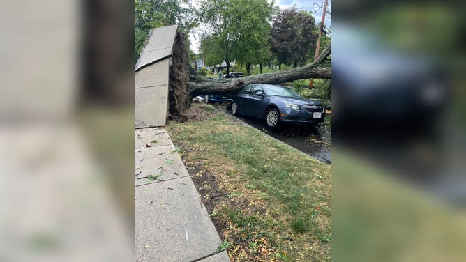 Severe storm damage in Holyoke, MA. (9/6/2025)