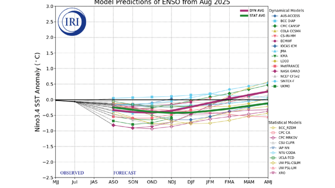 Forecast model predictions of ENSO status