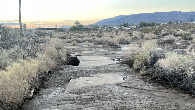 Storm damage along the Oasis of Mara trail.
