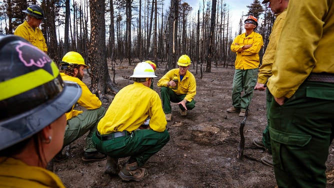 Dragon Bravo Fire Damage Assessment