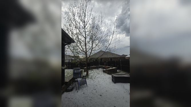 Hail piles up across backyard of home in Sanger, Texas Sunday afternoon.
