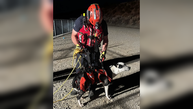 San Bernardino firefighters and several agencies jump into action to save dog trapped by water in California Aqueduct.
