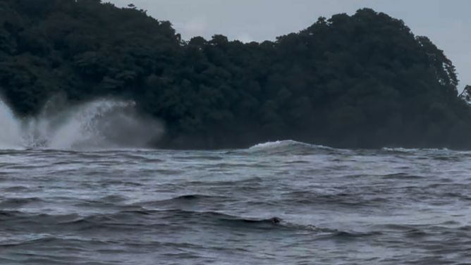 The whale and its baby calf splash back into the water in the distance.
