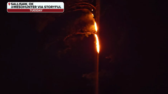 Tree catches fire after lightning strike in Oklahoma.