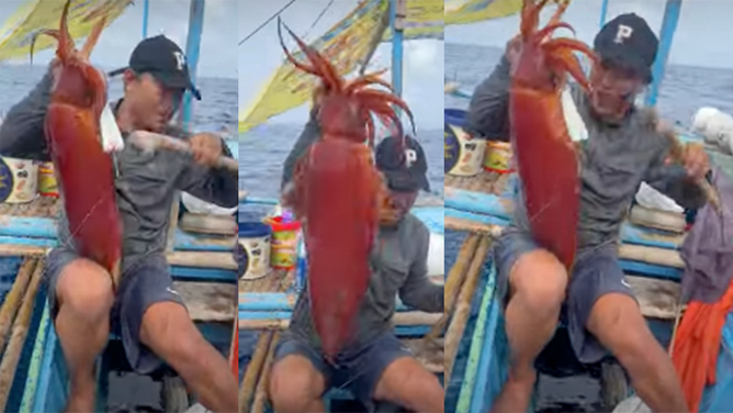 An angler gets a face full of squid ink in the Philippines.