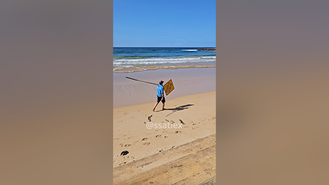 Man killed by 'large shark' at Sydney beach