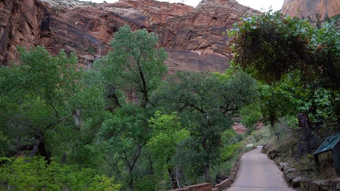 Weeping Rock Trail at Zion National Park.