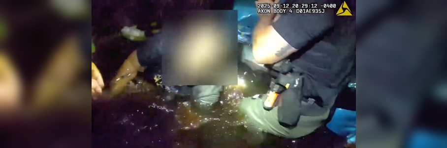 Watch: Florida deputies rescue driver, passenger from submerged car