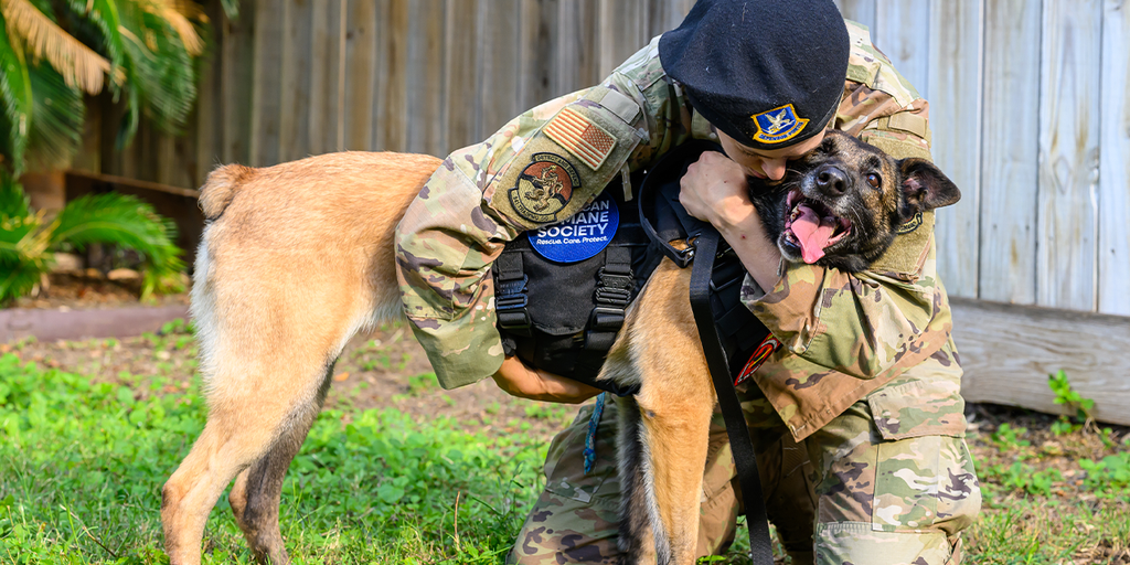 Watch the second a retired Air Force Ok-9 was reunited along with her ...