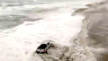 Watch: Nor'easter creates nasty surf, damaging winds and coastal flooding - Fox News