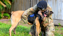 Watch the moment a retired Air Force K-9 was reunited with her handler forever