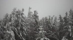 First snow of season falls in North Carolina's mountains