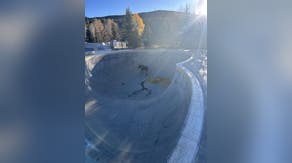 Watch: Moose calf saved in intricate rescue from skate park bowl in Colorado