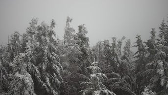 First snow of the season falls in North Carolina as winter nears - Fox News