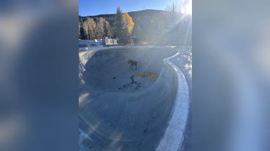 Watch: Moose calf saved in intricate rescue from skate park bowl in Colorado