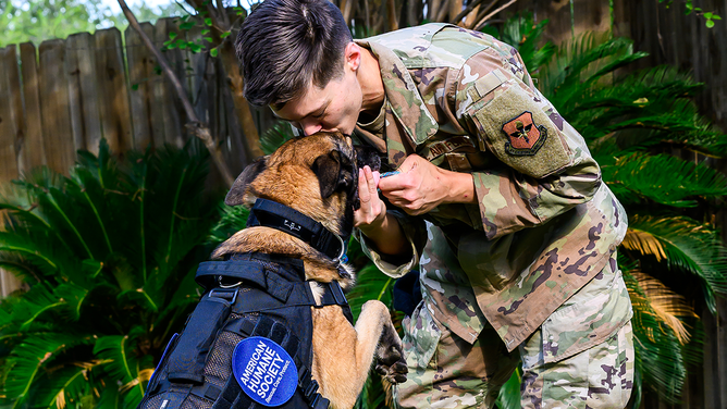 Retired U.S. Air Force K-9 Erika in San Antonio, Texas after being reunited with TSgt. Tara Cummins.