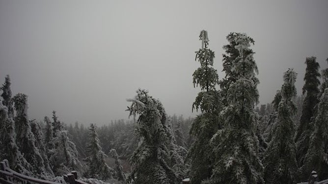Snow in NC's Mount Mitchell