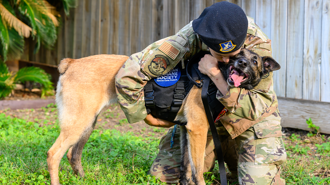 Retired U.S. Air Force K-9 Erika in San Antonio, Texas after being reunited with TSgt. Tara Cummins.