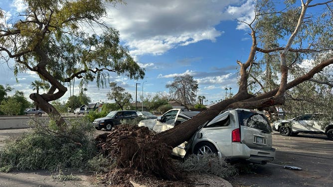 Significant damage reported after a microburst wreaked havoc in Tempe, Arizona.