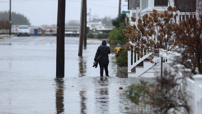 AVALON, NEW JERSEY - OCTOBER 12: A powerful nor'easter brings coastal flooding to the Jersey Shore on Sunday afternoon, with high tide sending water over docks and into streets in Avalon, New Jersey, United States on October 12, 2025. Strong winds and heavy surf caused dangerous conditions along the coast as officials urged residents to avoid flooded areas. (Photo by Lokman Vural Elibol/Anadolu via Getty Images)