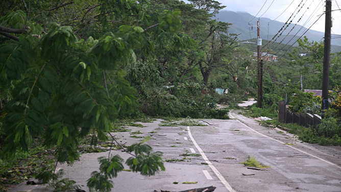 Fallen trees block sections of the Spur Tree main road following the passage of Hurricane Melissa in Manchester, Jamaica, on October 28, 2025. Hurricane Melissa ripped up trees and knocked out power after making landfall in Jamaica on October 28, 2025 as one of the most powerful hurricanes on record, inundating the island nation with rains that threaten flash floods and landslides. (Photo by Ricardo Makyn / AFP) (Photo by RICARDO MAKYN/AFP via Getty Images)