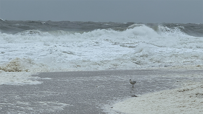 Massive waves are seen crashing onto the beach in Ocean City, Maryland, during a nor'easter on Oct. 12, 2025.