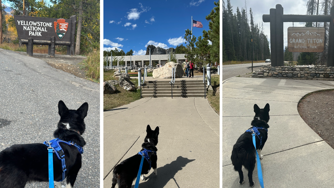 Opie at national parks.